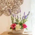Orientale 205 Appartement *