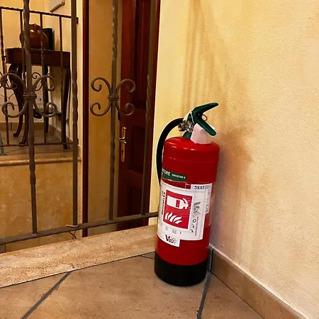 Orientale 205 Baunei