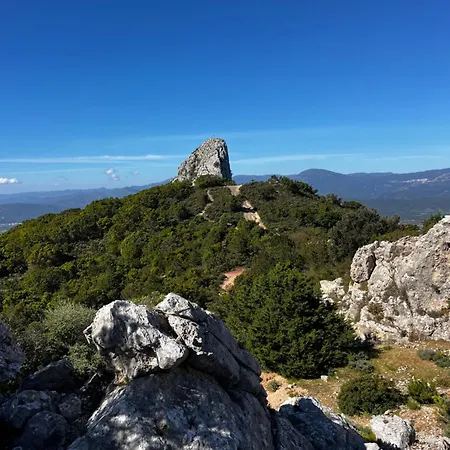 Orientale 205 *